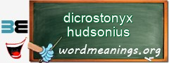WordMeaning blackboard for dicrostonyx hudsonius